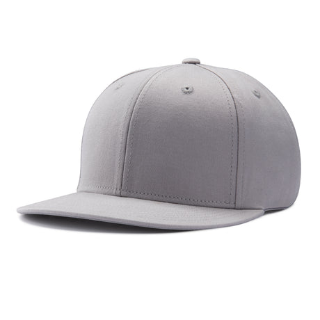 Pennant Snapback Cap grey