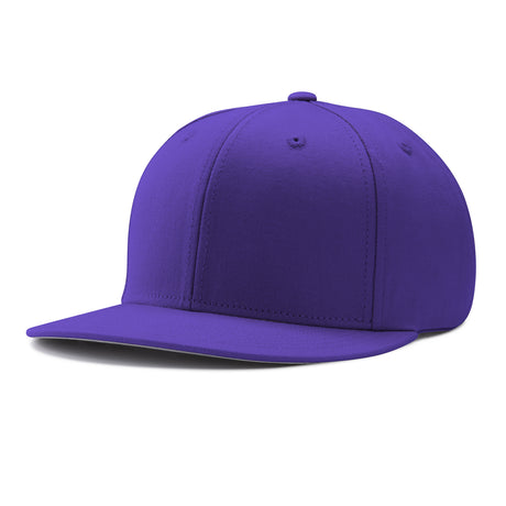 Pennant Snapback Cap purple